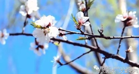 口德决定一个人的运势，聪明人绝不讲的10种话！