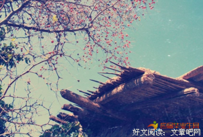 风的优美句子
