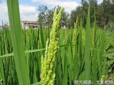 《 随感外你到说慨》的句子