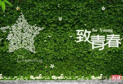 共鸣的优美句子