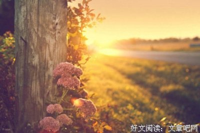 若水经典的句子