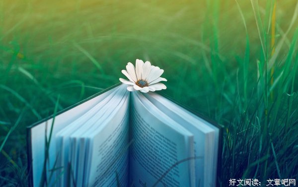 关于修心的句子
