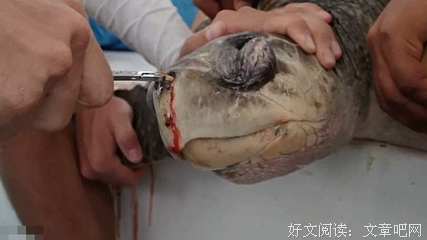 中好自便中好些大每人心疼的句子