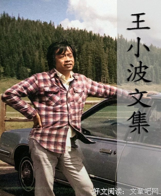 王小波说，越是傻人，道德上的敏感度越高！(黑白先生）