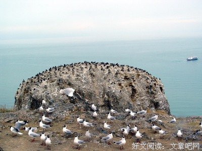 关于流畅的语句