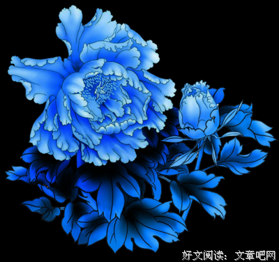 关于惊鸿照的格言