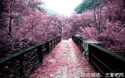 描写七零的经典句子