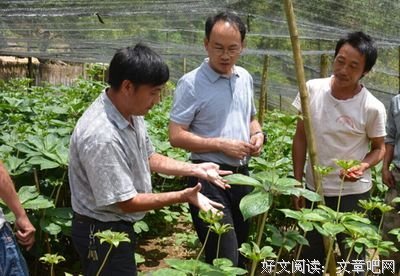 袁宏的名句_关于袁宏的名句