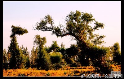 老钟的名人名言