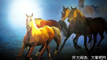 帝九夷的格言