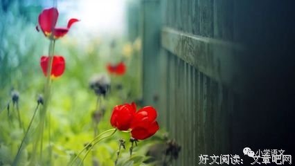 最全的vivibear的名言