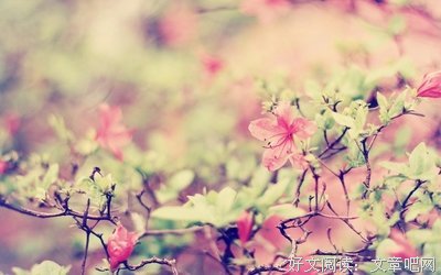 「叔声」永远别在喝醉的深夜联系任何人。