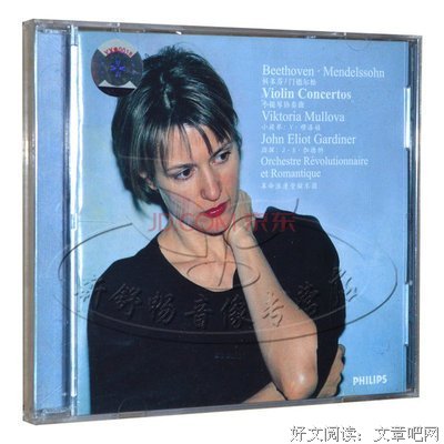 《小提琴革命曲》经典观后感集