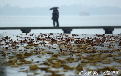 秋风起，秋雨落，致牵挂的朋友！