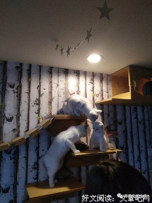 在薄情的微信朋友圈中深情地活好