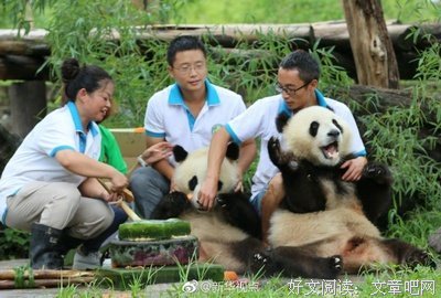 人到中年，身不由己