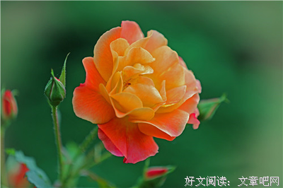女人若是薄情，就会在这三件事上“反抗”你，一目了然！