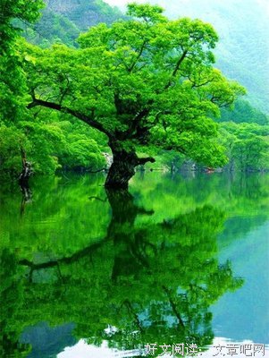 美文名句欣赏