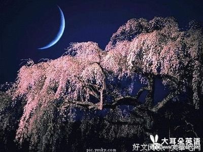 初见名句欣赏