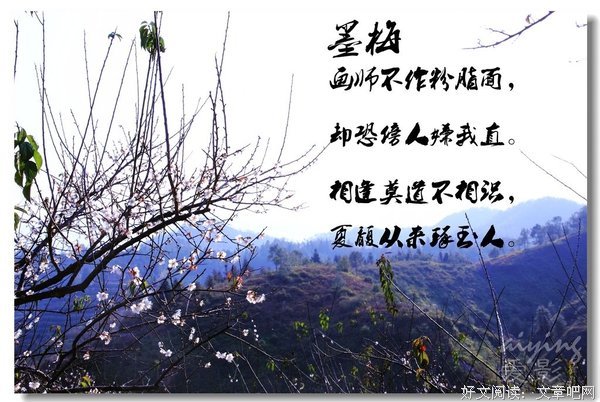 诗句