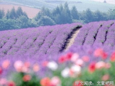 你要对他人善良