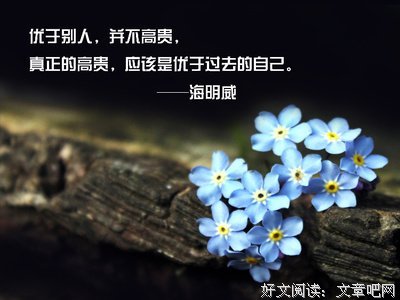 年觉开于些隽永的句子