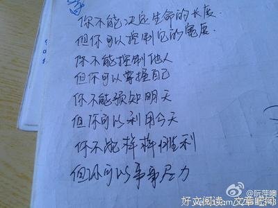 苑子文的句子