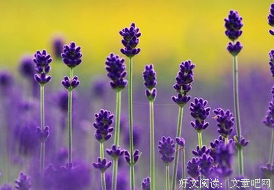 热火格言警句