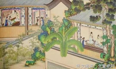 读者丨贾家最精明的儿媳妇