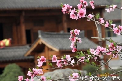 叶广芩的语句摘抄_关于叶广芩的语句