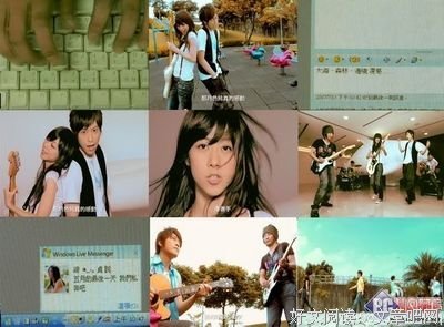 《鲤·与书私奔》读后感10篇