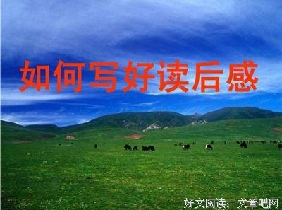 《思想人》经典读后感10篇