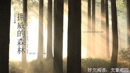 遇见一些人.流泪-第3辑读后感精选10篇