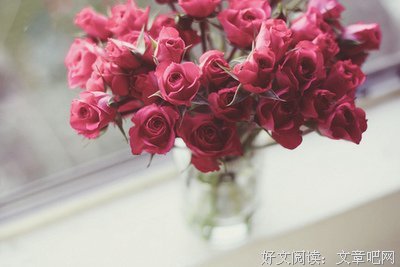 心之哀优美的句子
