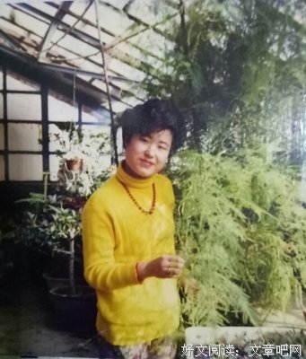 关于向松的格言