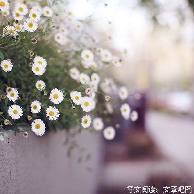15条关于小折的经典语句