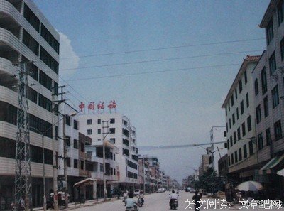 关于张伯的语句