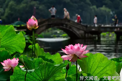 除了西湖，杭州还有哪里适合打卡拍大片？