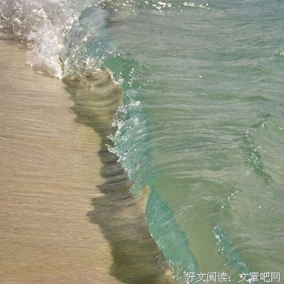 最新的《快思慢选》经典语录