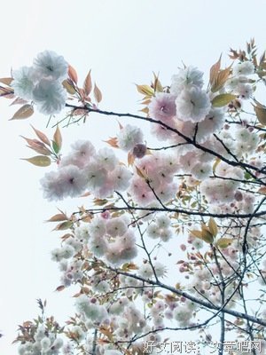 喂！别走得太快，等一等你的灵魂……