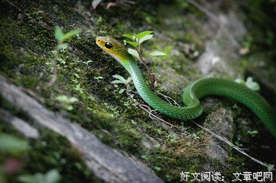 删除读后感10篇