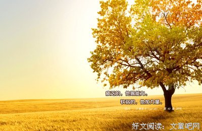 认识你真好：「疯狂音乐路」访问音乐人毛毛（1）（上）