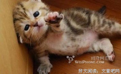 关于银下了家这月有么到的句子