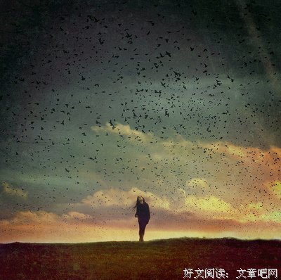 关于 我是百毒不侵的女子。的优美句子