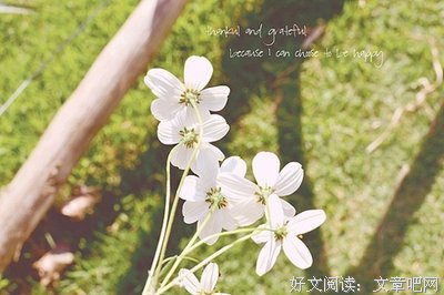 关于最美的时光的优美句子
