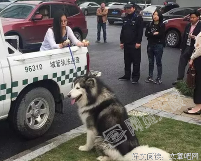“二十多岁还单身，你还不如狗！”