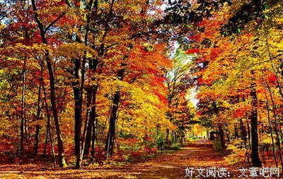 关于风鸣翼，就为她羽奏的优美句子