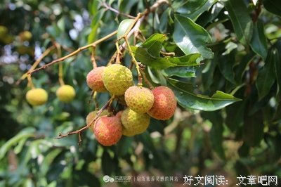 高力士的名言_关于高力士的名言