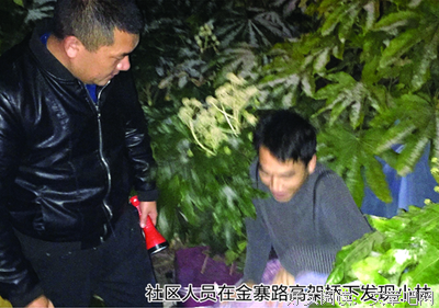 又是一事无成的夏天啊