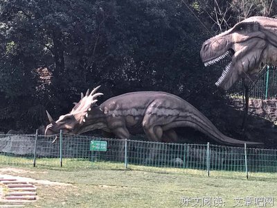 “蝴蝶为你朗读”大奖赛（附精彩点评）！--王翌瑄朗诵《书香家风